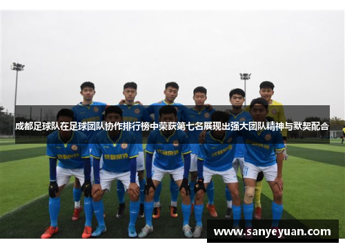 成都足球队在足球团队协作排行榜中荣获第七名展现出强大团队精神与默契配合