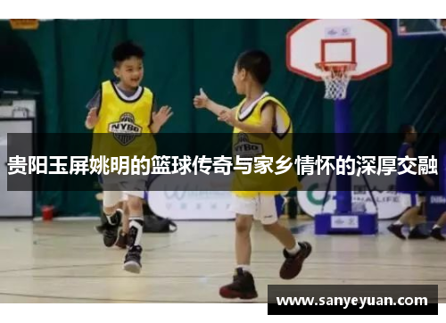 贵阳玉屏姚明的篮球传奇与家乡情怀的深厚交融